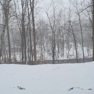 Meet your Posher, Lilly